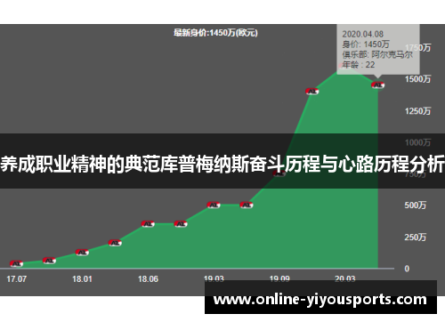 养成职业精神的典范库普梅纳斯奋斗历程与心路历程分析