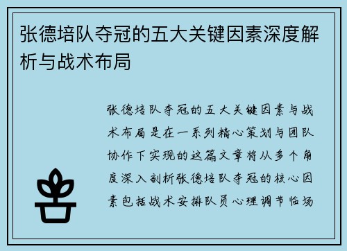 张德培队夺冠的五大关键因素深度解析与战术布局