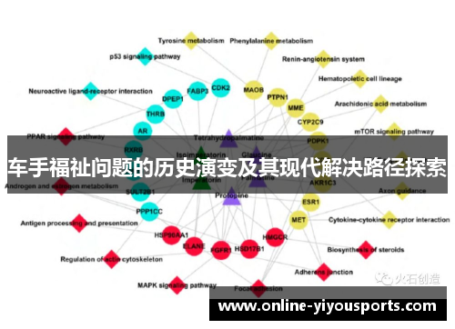 车手福祉问题的历史演变及其现代解决路径探索