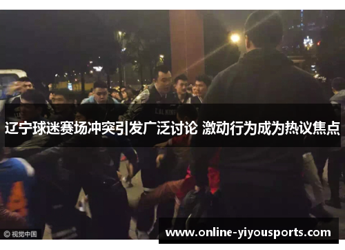 辽宁球迷赛场冲突引发广泛讨论 激动行为成为热议焦点